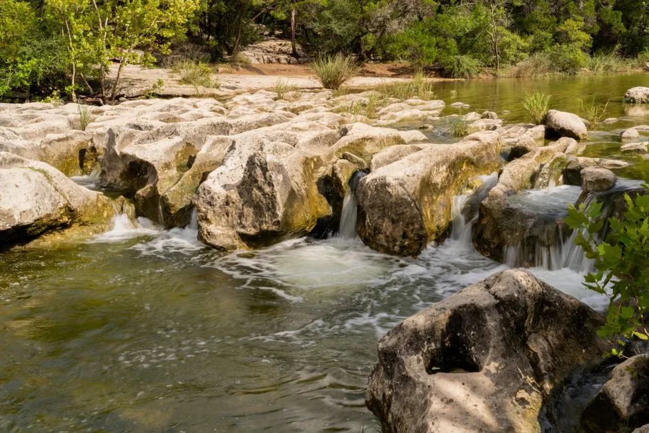 Balcones Canyonlands: Plan a Birdwatching Visit